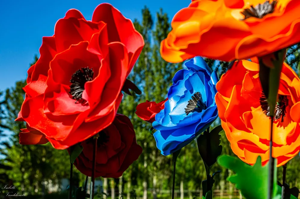 Flowers Alice in Wonderland