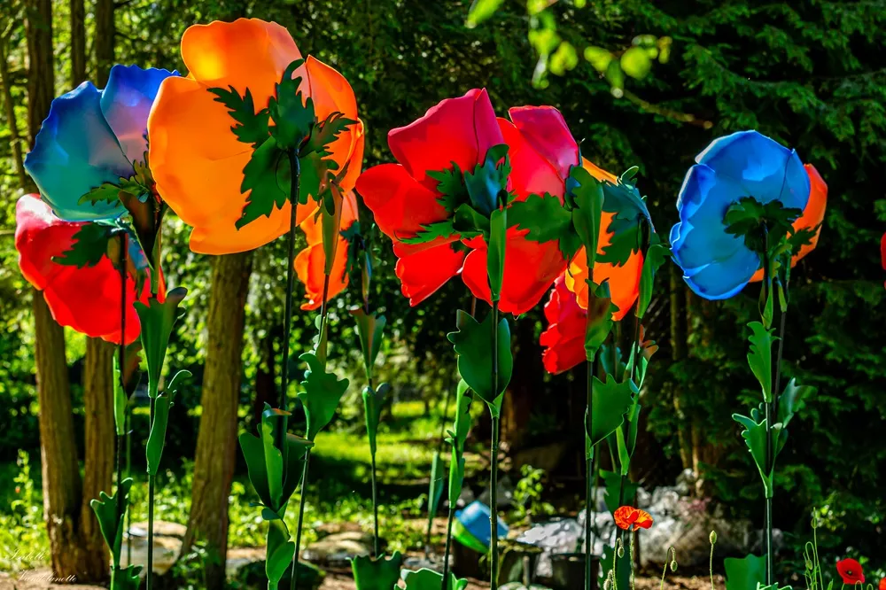 Flowers Alice in Wonderland