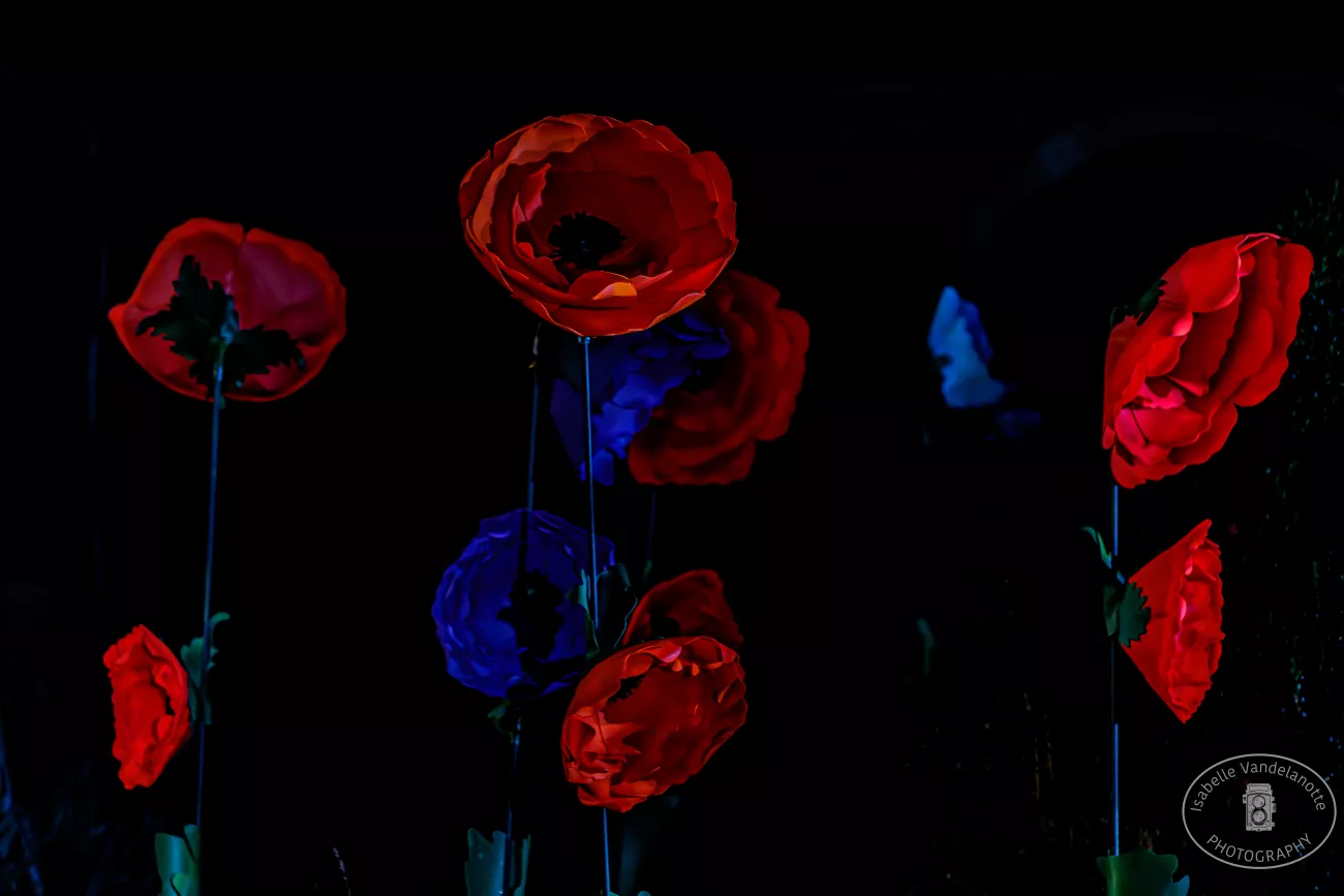 Bloemen van Alice in Wonderland
