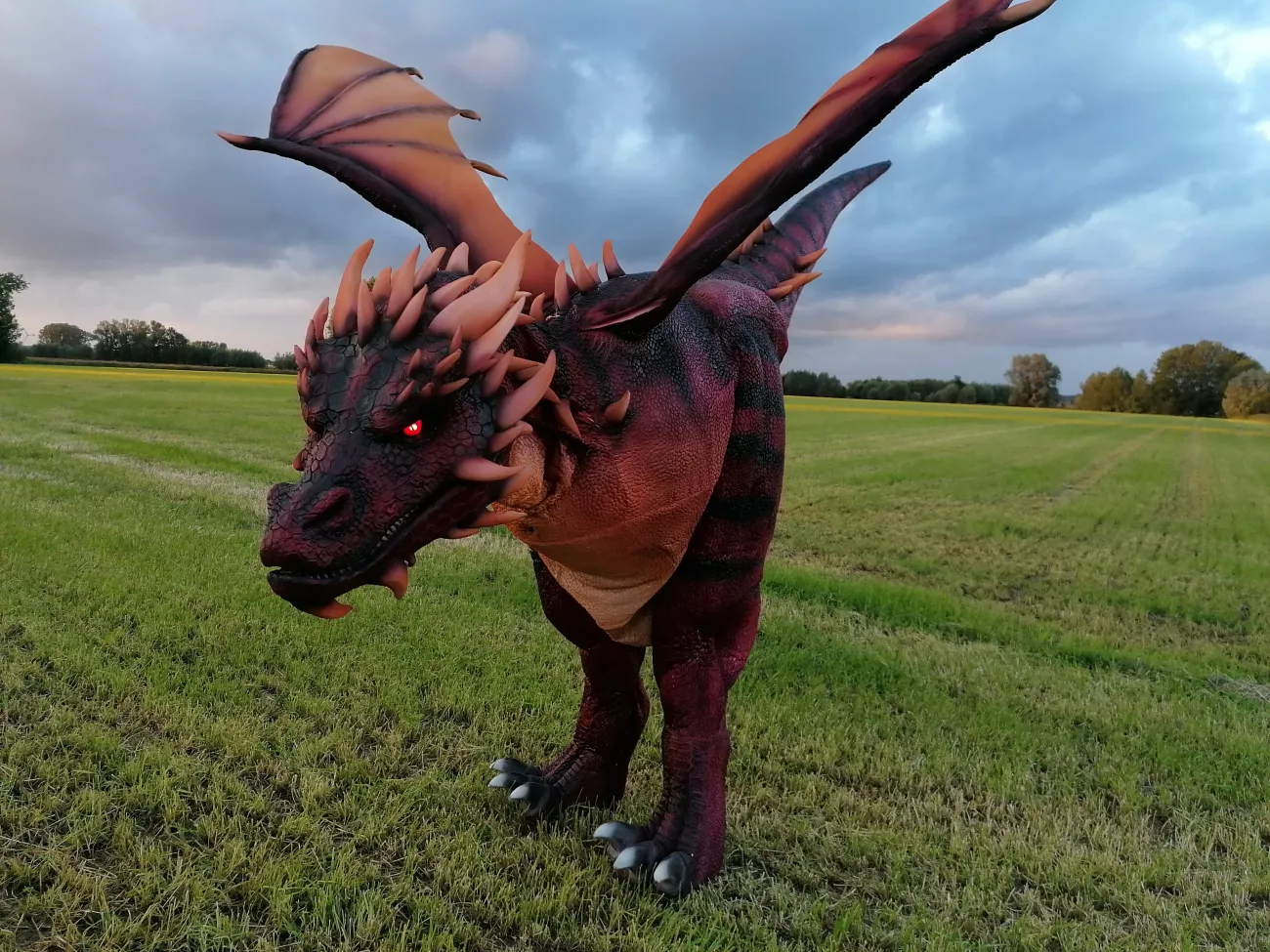 draak-3