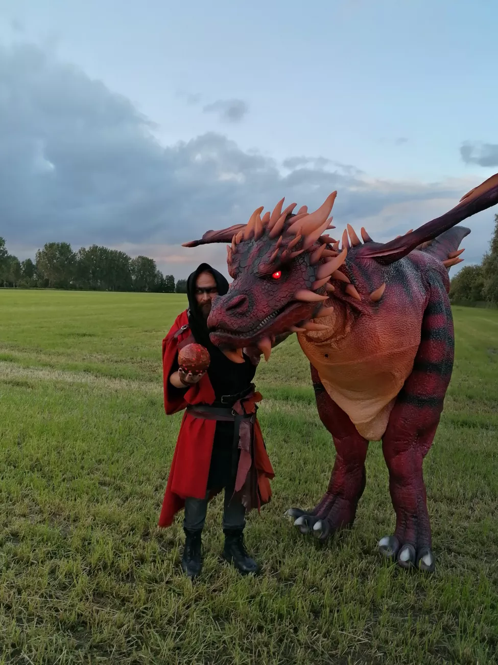 draak 6