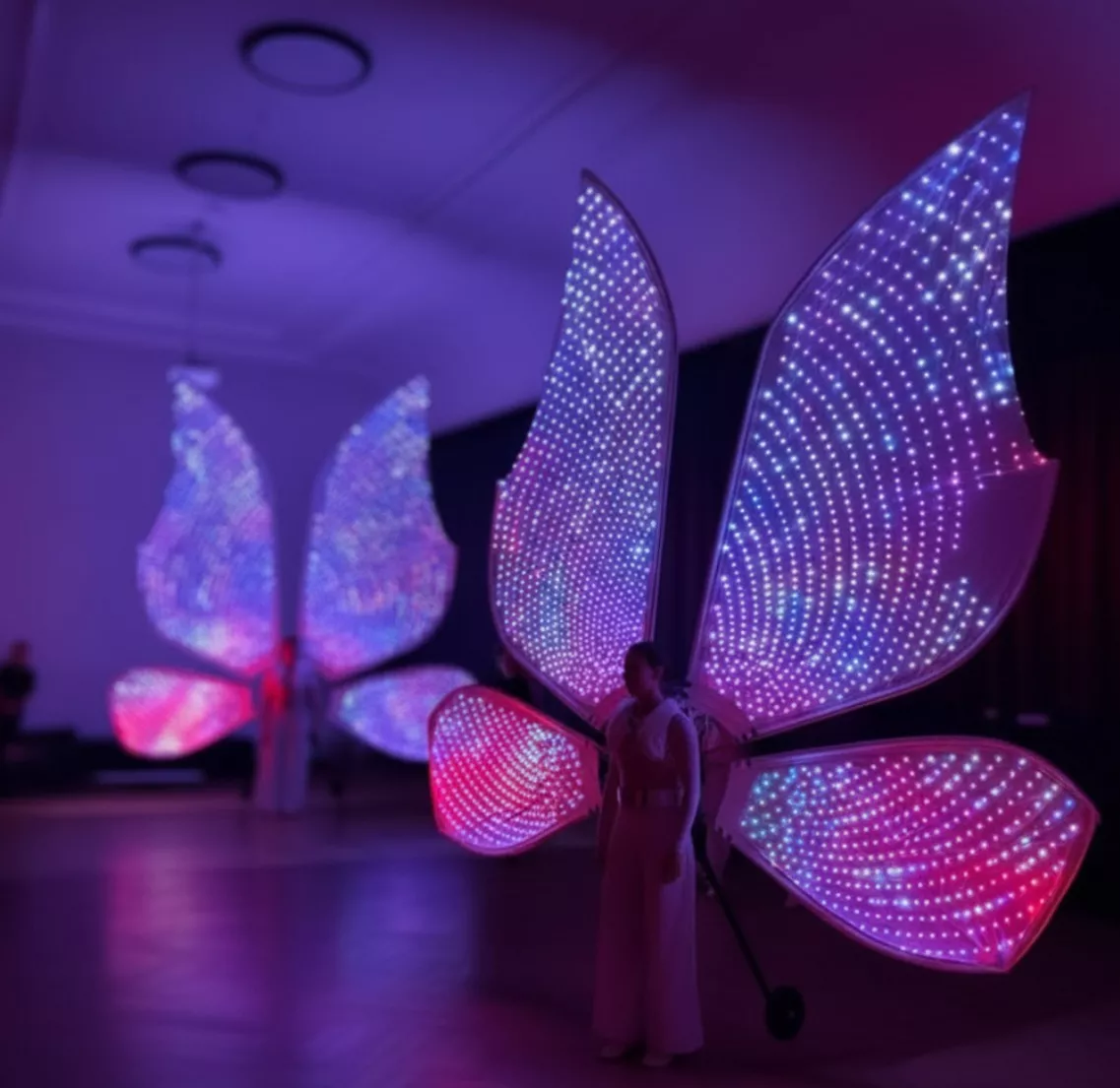 papillon - vlinders