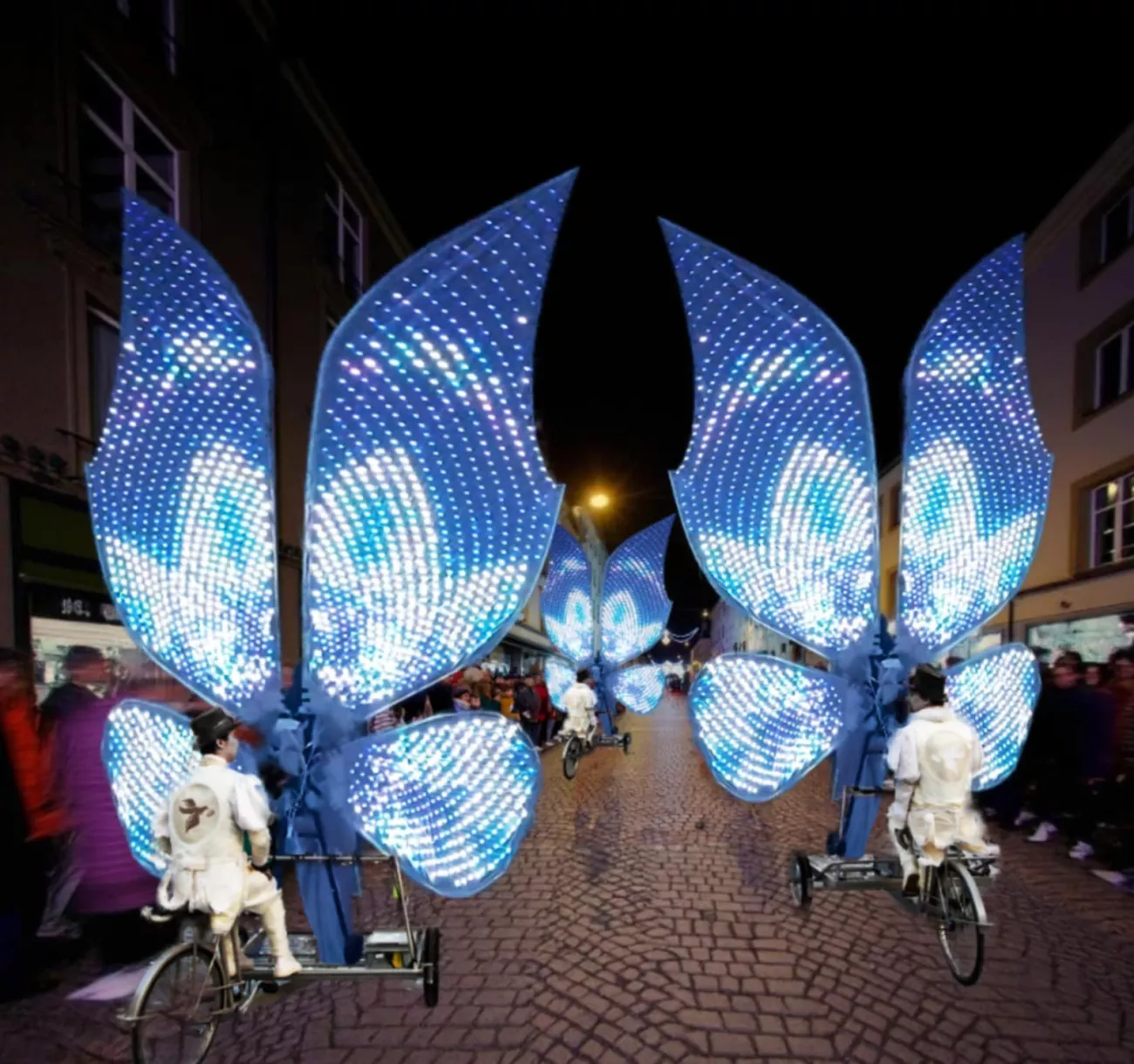 papillon - vlinders
