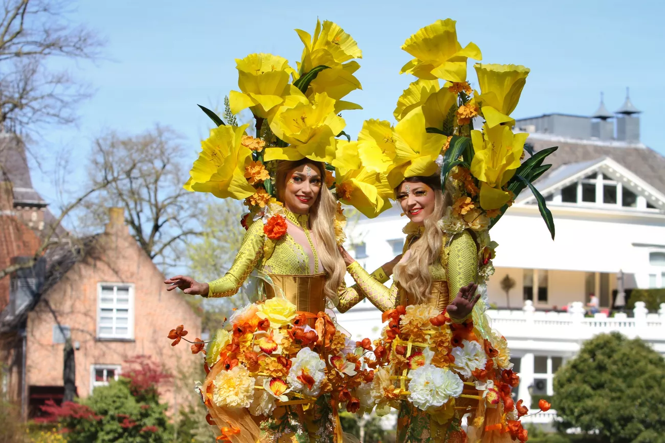 sunshine flowers