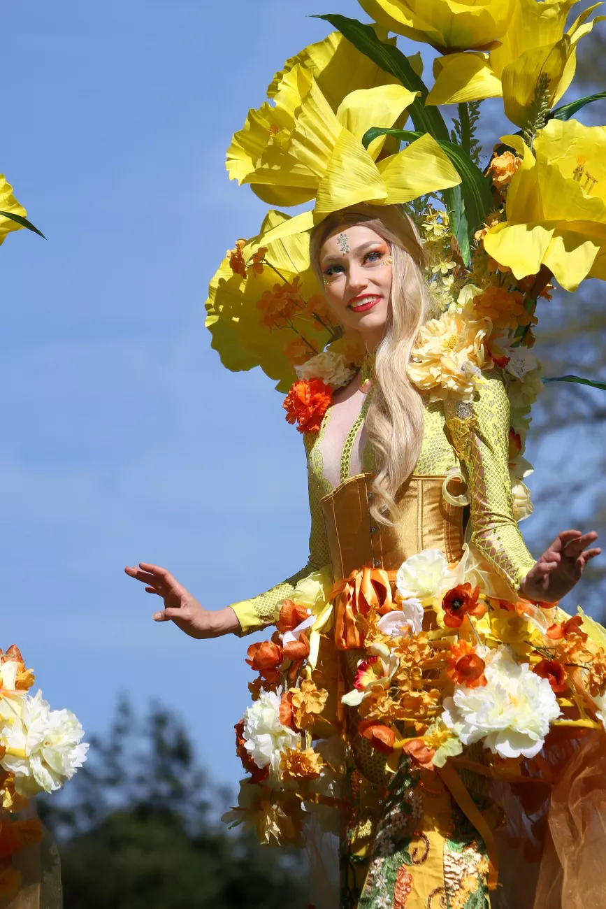 sunshine flowers