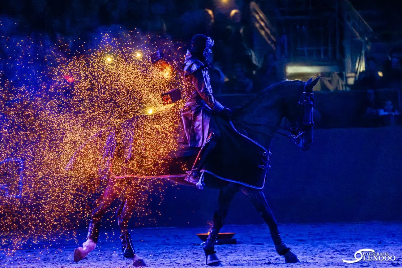 paardenshow